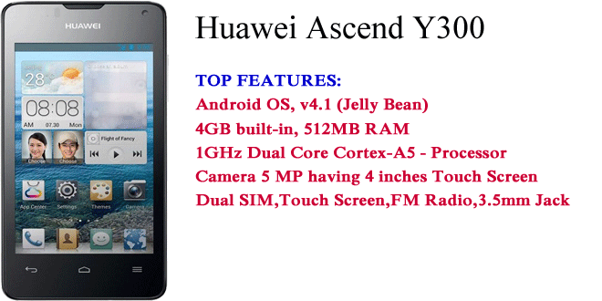 Huawei Ascend Y300